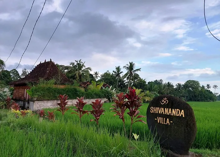 Villa Shivananda Antique By Eps