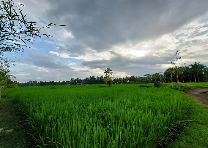 Shivananda Antique By Eps Ubud (Bali)